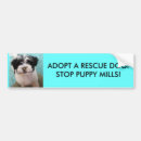 Search for mill dog Puppy