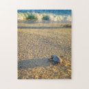 Search for turtle puzzles Vacation