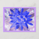 Search for shocking postcards Flowers