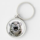Search for wild cat key rings Photograph