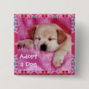 Search for breeds badges Animals