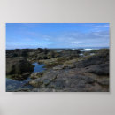 Search for tide pool art Oregon