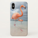 Search for flamingo iphone cases Beach