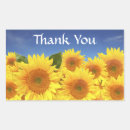 Search for sunflower thank you wedding stickers Bloom