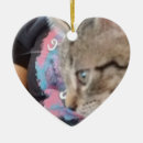 Search for tree pet supplies Keepsake