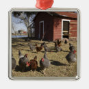 Search for rural christmas tree decorations Animal