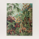 Search for nature puzzles Illustration