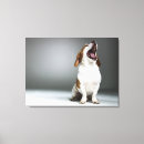 Search for aggression art Horizontal
