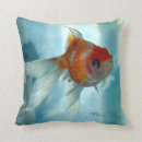 Search for oranda Aquarium