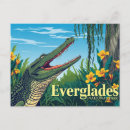Search for wetlands postcards Alligator