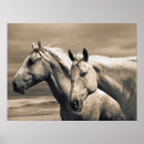 Search for quarter posters Farm