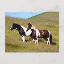 Search for danita delimont postcards Green
