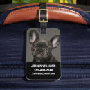 Search for french bulldog accessories Animal