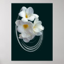 Search for twirl art White
