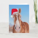 Search for belgian christmas cards Horse