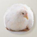 Search for cochin Bird