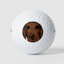 Search for dachshund golf balls Wiener dogs