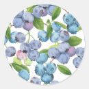Search for kitchen garden stickers Fruit