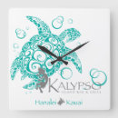 Search for turtle clocks Honu