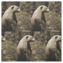 Search for bear fabric Wildlife