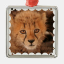Search for cheetah christmas tree decorations Wildlife