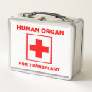 Search for organ lunch boxes Human organs