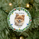 Search for pomeranian christmas tree decorations Cute