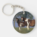 Search for in the paint key rings Standing