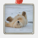 Search for mammal christmas tree decorations Baby