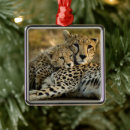 Search for cheetah christmas decor Wildlife