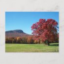 Search for moors postcards Nature