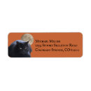 Search for happy cat return address labels Spooky