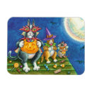 Search for funny cat magnets Colourful