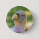 Search for avian badges Wildlife