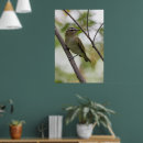 Search for eyed posters Bird