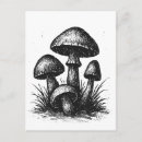 Search for totebag postcards Illustration