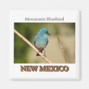 Search for birdwatcher magnets Birds