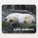 Search for funny bears mousepads Humour