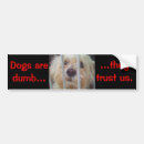 Search for pound bumper stickers Dog