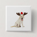Search for antlers badges Animal