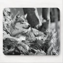 Search for wild wolf mousepads Timber