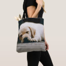 Search for selective focus bags Pets