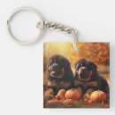 Search for mastiff key rings Animal