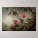 Search for martin johnson heade posters Flowers