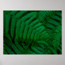 Search for green foliage posters Forest