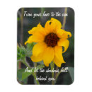Search for sunny magnets Inspirational