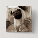 Search for whimsical badges Pets