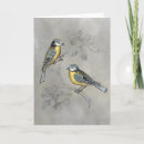 Search for aviary cards Domestic