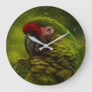 Search for ara art Macaw