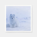 Search for cute arctic fox crafts party Nature